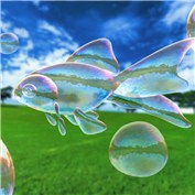 Goldfish — hdihnen