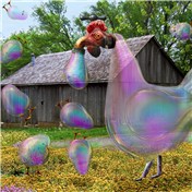 Proliferation — DigitalNanna