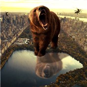 The Oso — Mrlococo
