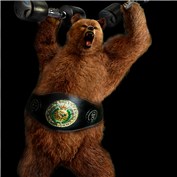 Champion — avivdaire