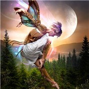 Faeries 6