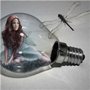 faerie_captured — vertigoEBC