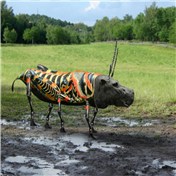Hippohopper — DigitalNanna