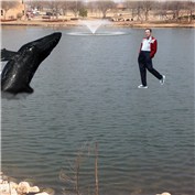 Walken walking on water with a whale — apackofmongi