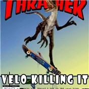 Thrasher Raptor — cpatrikios