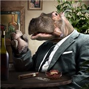 Chop A Hippo 6