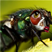 Eyes... — Graphshot