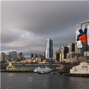 Window Washer — bottomsup