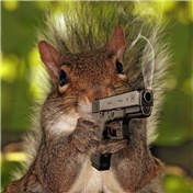 Bad chipmunk — babyface11