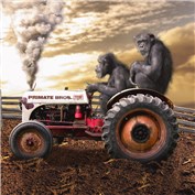 Planet of the Apes 9