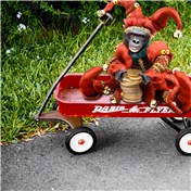 Ready For The Parade — DigitalNanna