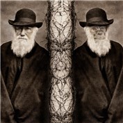 Darwin vs Monkey — PixJockey