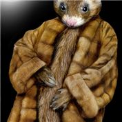 Animal Dress Up 3