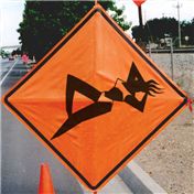 Sunbathing ahead — flavio573