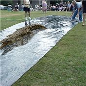 slipnslide gator — Davebomb