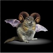 Chimaera 4