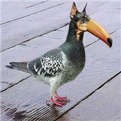 Doberthingy — mcdj18