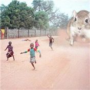 RUN!! — steveo