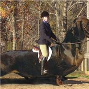 Oversized Animals
