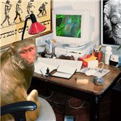 monkey genious — darkwulf