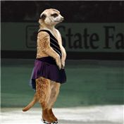 Figure Skating — Scarlette