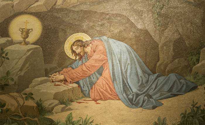 That Blood was shed by the great anguish of soul when Our Lord, in His agony, began to suffer and sweat blood all over His Body. - Attribution: hisgloryinourhistory.com