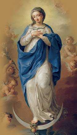 The Immaculate Conception