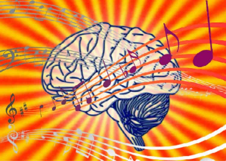 music-brain-anatomy-learning-neurosciencenews-public