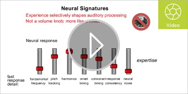 auditory-processing-research