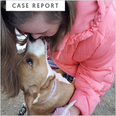 sc-case-report