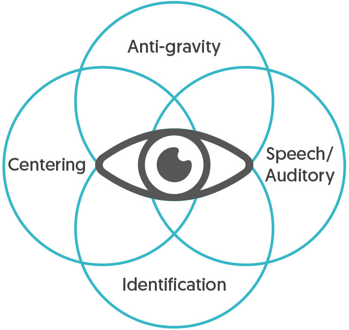 Development of The Vision Sense