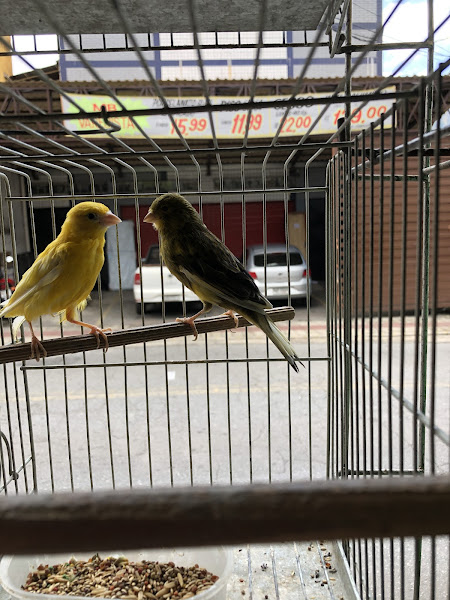 Foto 2 Vera Cruz Rações