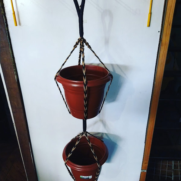 Foto 4 pet shop casa de ração