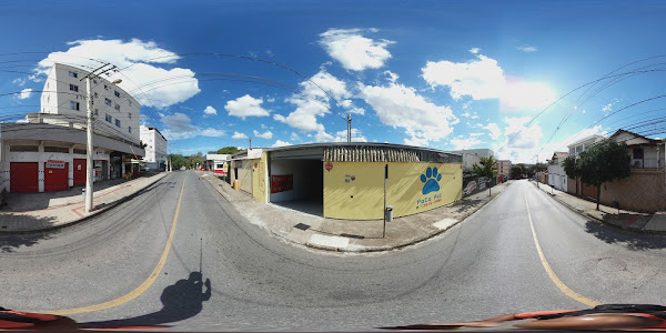 Foto 1 Pata Pet - Matriz