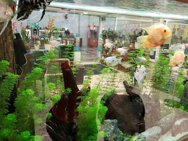 Foto 2 Cobasi BH Shopping Del Rey