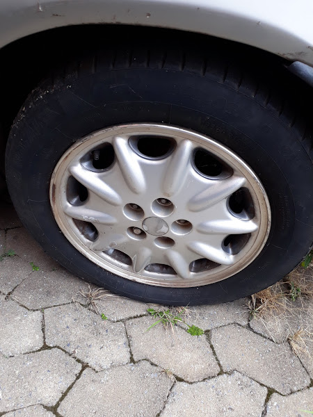 Foto 2 Detroit Motorsport