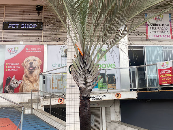 Pet Shop Floresta