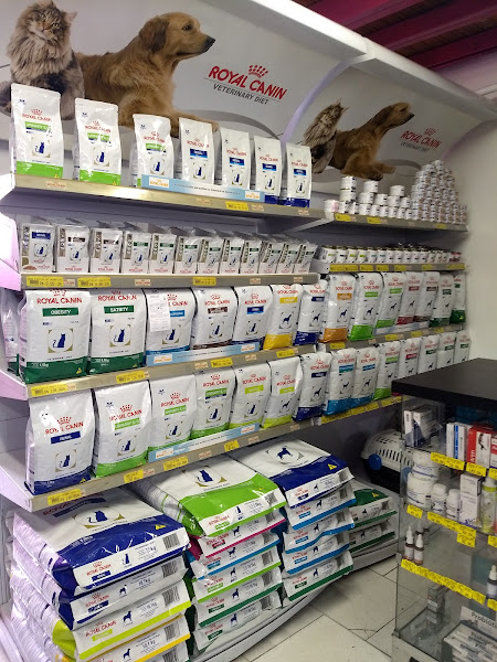 Foto 4 Dog's Shop Buritis