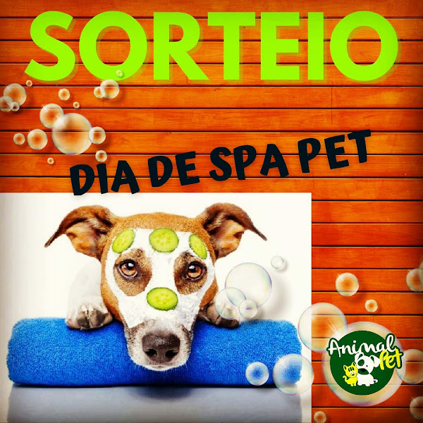 Foto 2 Animal Pet BH