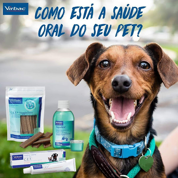 Foto 2 Cia do Cão Pet Shop