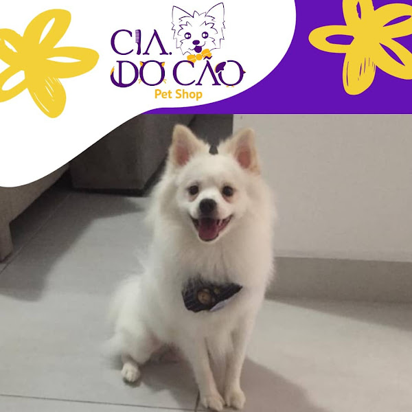 Foto 3 Cia do Cão Pet Shop