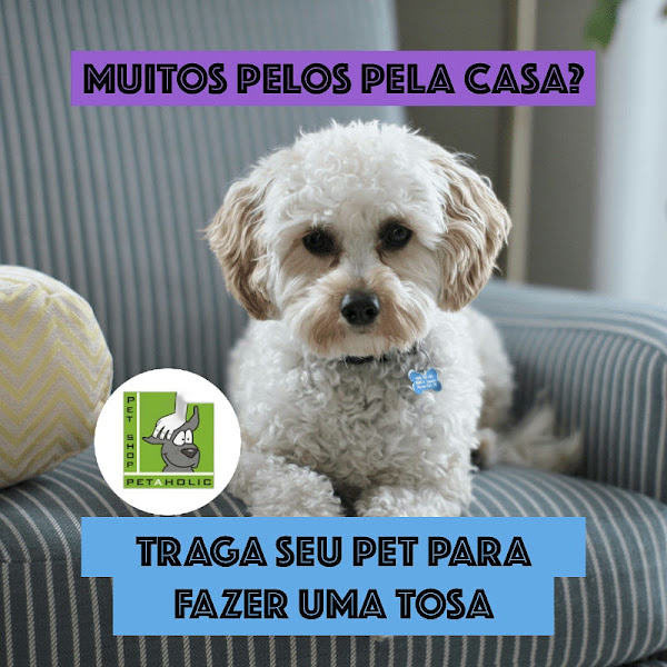 Foto 1 Organização Petaholic - Pet Shop Ltda