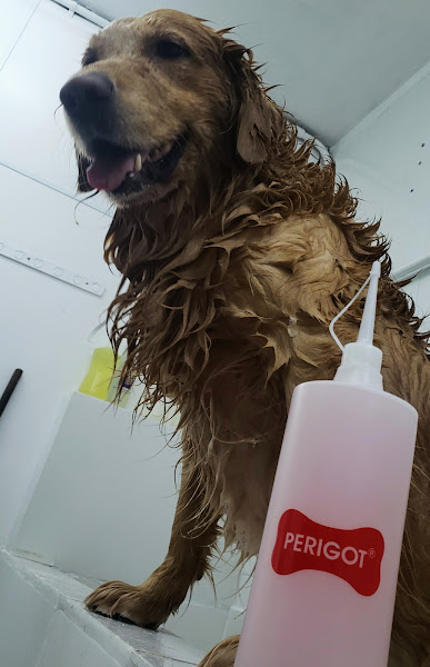 Foto 3 Organização Petaholic - Pet Shop Ltda