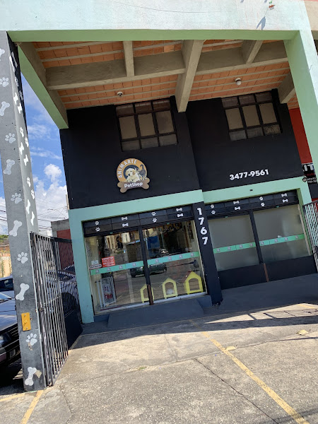 Foto 3 AnimArte Pet Shop