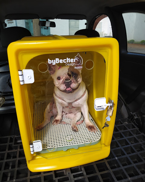 Foto 2 Estillo Pets Estética Animal e Pet Shop