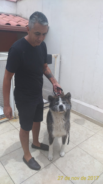 Pet Shop Vila dos Pets