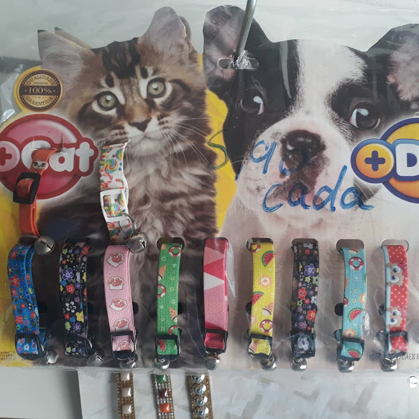 Pet Shop Pet & Gatô