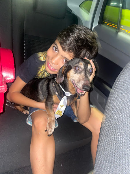 Foto 5 Pet Shop Pet & Gatô