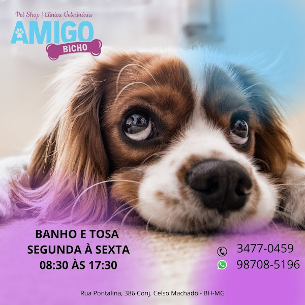 Foto 1 Amigo Bicho Pet Shop BH