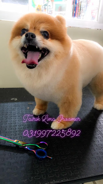 Foto 2 pet shop Pet & Food